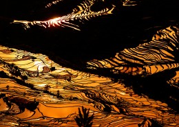 云南元阳梯田真实风景图片