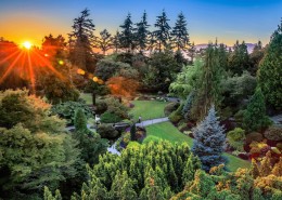 加拿大温哥华女皇公园风景图片