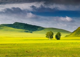 乌兰布统的夏季风景图片大全
