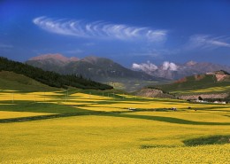 青海祁连山风景图片