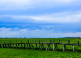 河北沽源风景图片