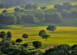 内蒙古蛤蟆坝风景图片