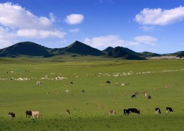 内蒙古乌兰布统草原风景图片大全