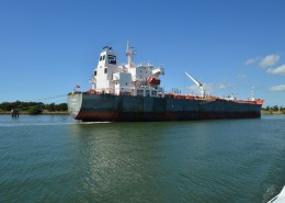 澳大利亚布里斯班风景图片大全