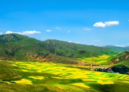 青海祁连卓尔山风景图片