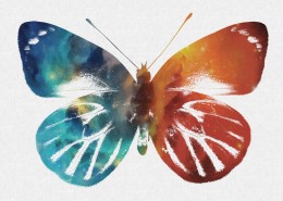 彩色蝴蝶剪影图片