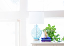 清新的室内盆栽图片