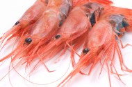美味营养的大虾图片