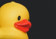 儿童浴室玩具图片大全