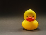 儿童浴室玩具图片大全