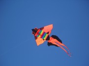 天空中的风筝图片