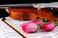 优雅的小提琴图片