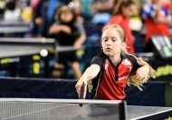 正在打乒乓球的小孩图片