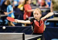 正在打乒乓球的小孩图片