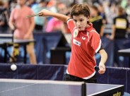 正在打乒乓球的小孩图片