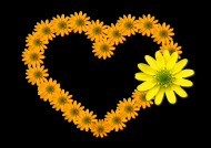 有创意的心形图片大全