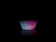 撞板的水滴图片