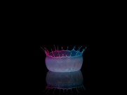 撞板的水滴图片