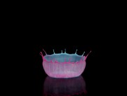 撞板的水滴图片