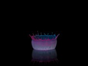 撞板的水滴图片