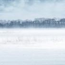 影楼婚纱照背景大图（二）