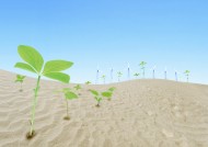 地球沙漠化素材图片