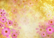 梦幻花朵图片大全