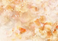 梦幻花朵图片大全