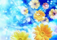 梦幻花朵图片大全