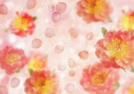 梦幻花朵图片大全