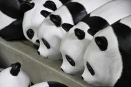 纸糊熊猫展图片