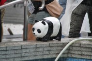 纸糊熊猫展图片