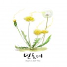 花草素描图片大全