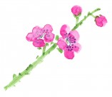 国画梅花图片大全