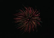 美丽的烟花图片大全