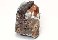 木化石图片大全