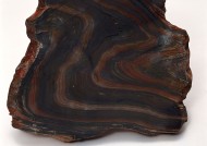 木化石图片大全