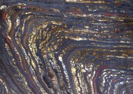 木化石图片大全