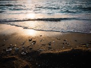 美丽的大海图片