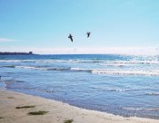 美丽的大海图片