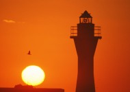 人与夕阳图片大全