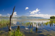 大理海舌生态公园风景图片大全