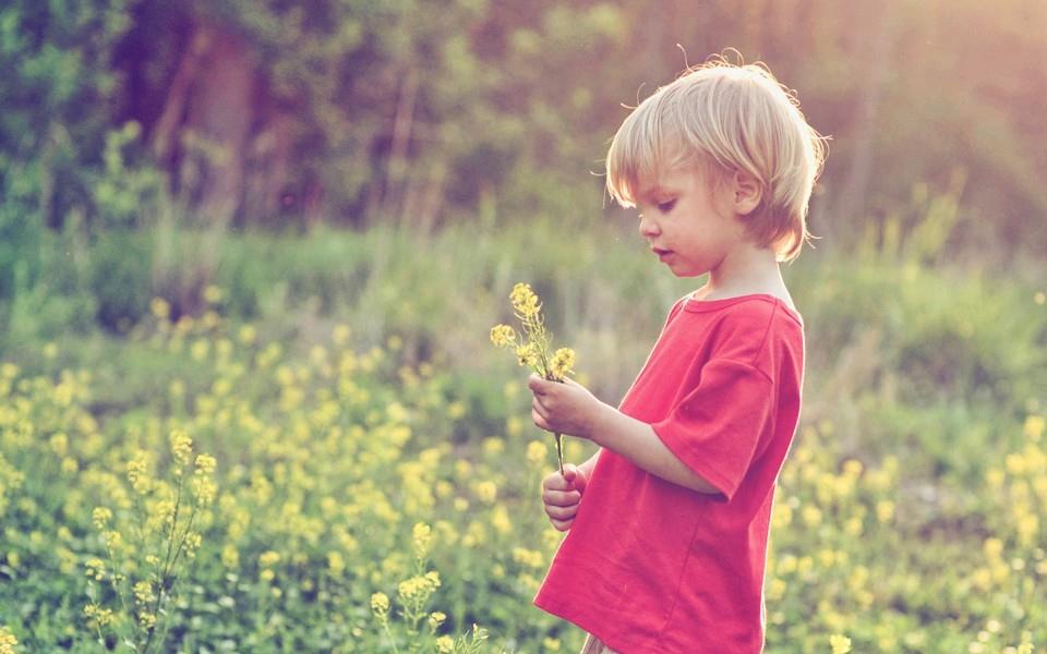 可爱的小娃娃桌面图片
