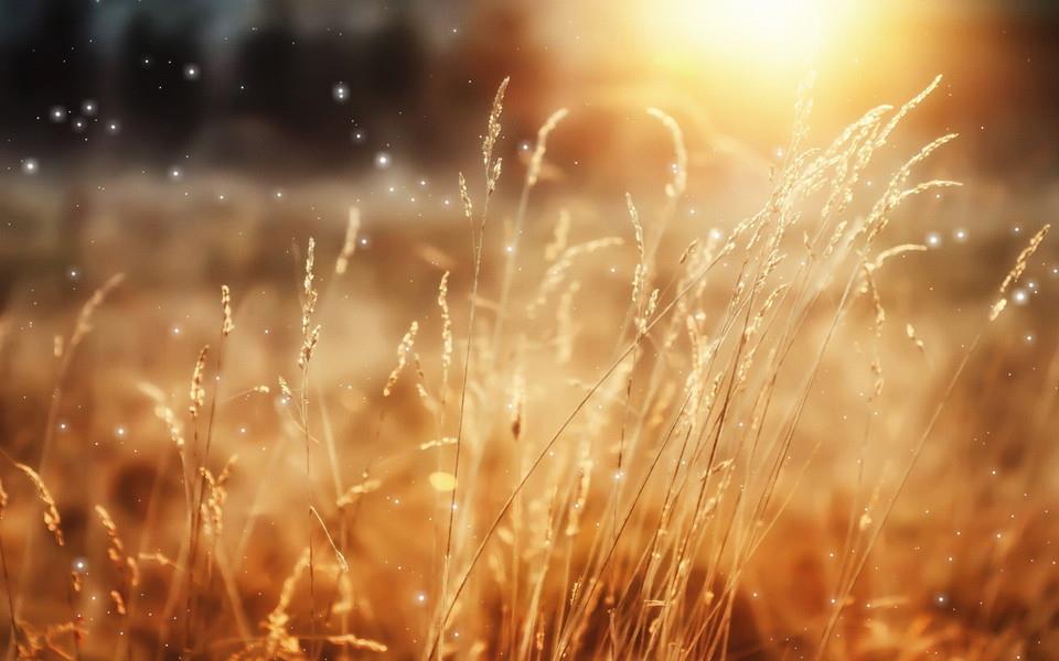 繁星点点温馨浪漫摄影图片