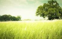 繁星点点温馨浪漫摄影图片