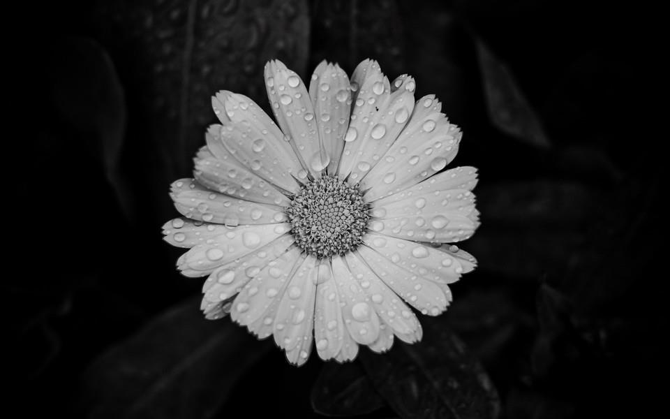 捕捉瞬间精彩高清桌面壁纸