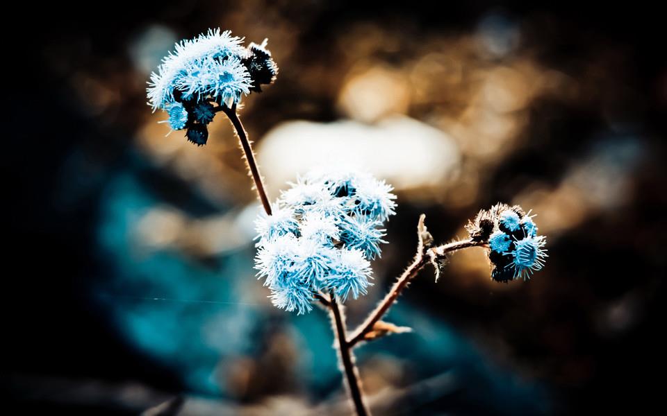 捕捉瞬间精彩高清桌面壁纸