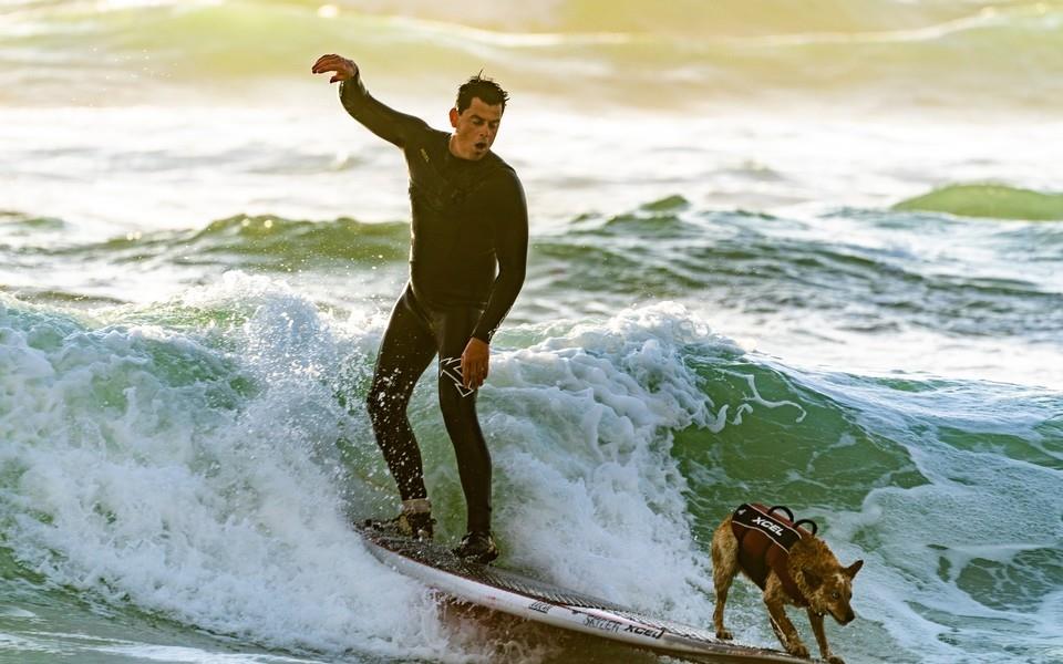 极限水上运动冲浪高清图片