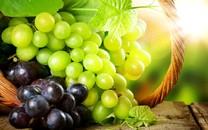 美味水果高清图片