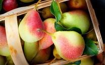 美味水果高清图片